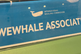 International Whaling Commission
