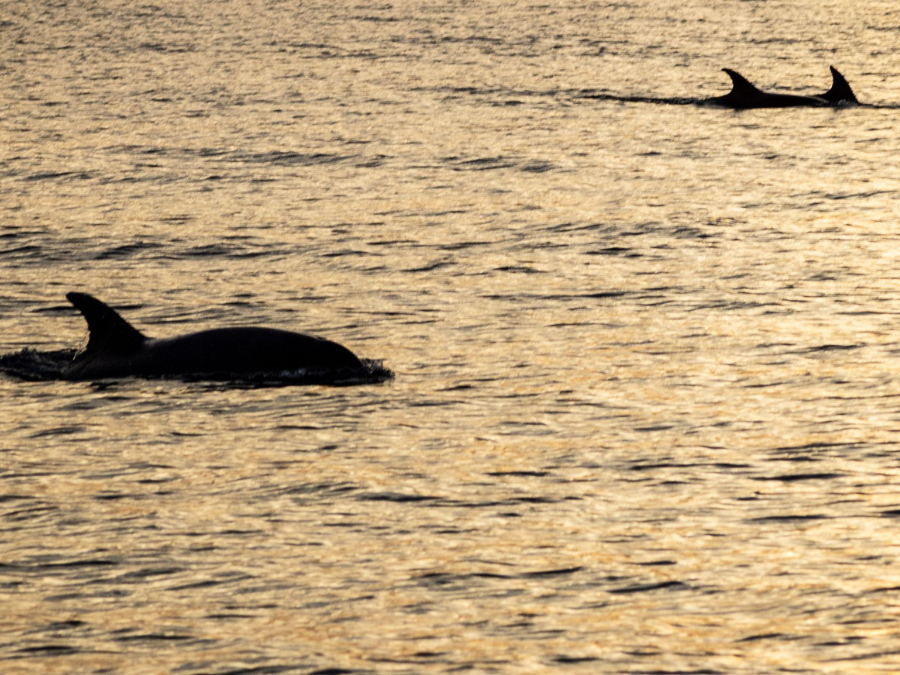 Lanzarote shared sunset experience