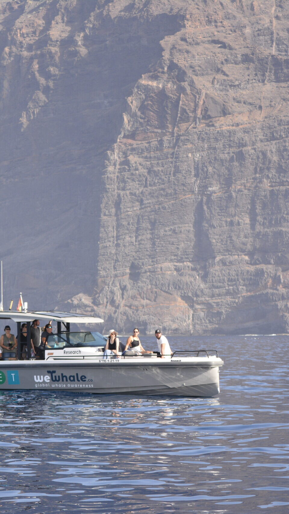 Tenerife private whale dolphin